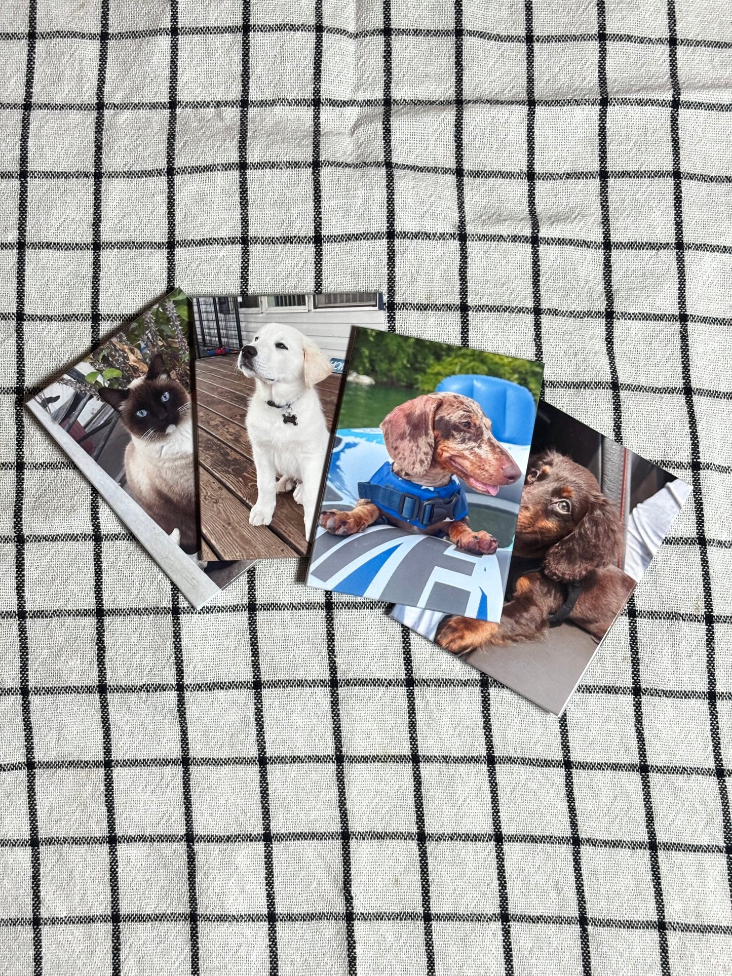 Personalized Magnets